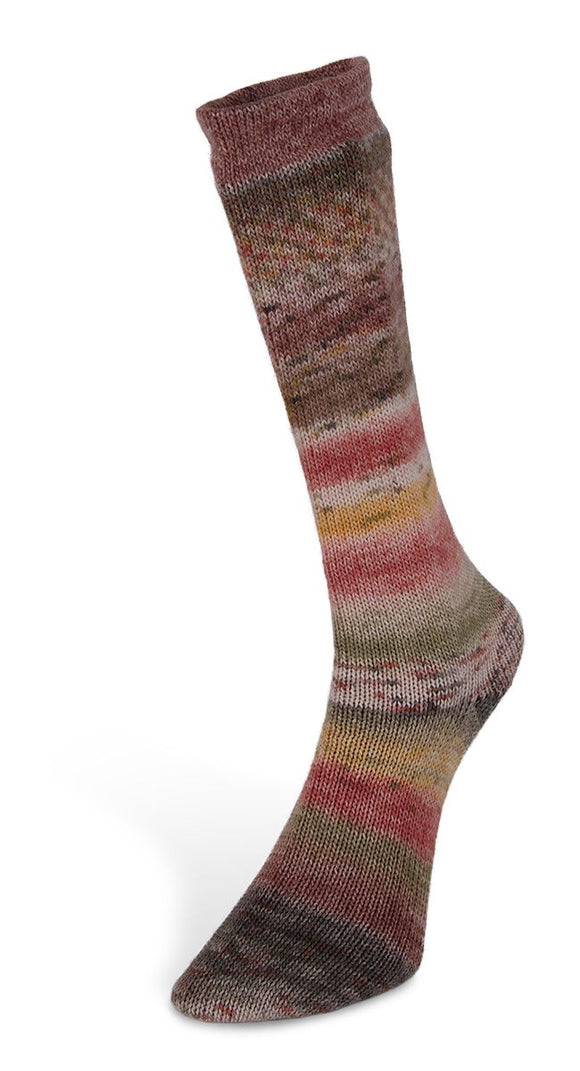 Carnival Sock Wildflower 05 100g
